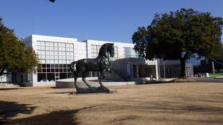 群馬県唯一の県立美術館