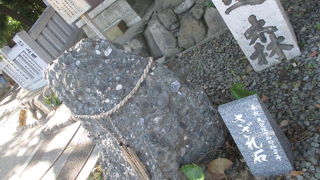 見かけは普通です