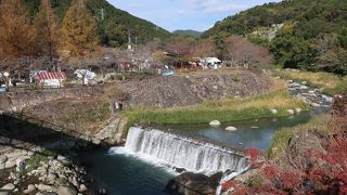 川に隣接した公園 ♪