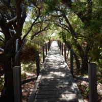 ホテルから海岸までの小道