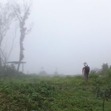 力里山登山(屏東県春日郷)  蝶