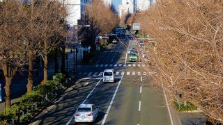 `かながわの景勝50選`と`日本の道100選`に