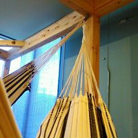 ハンモックからの景色