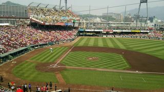 カープファン以外も楽しめる