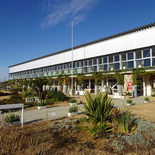 校庭の雰囲気が残っています