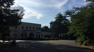 広く自然が多い庭園