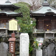 金龍権現は九頭龍権現と隣り合ってます。