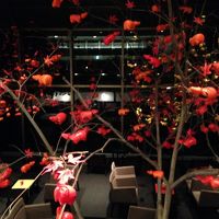 赤べこによる紅葉の演出