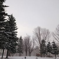 ちょっと早めの初雪