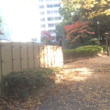 公園内部の様子1