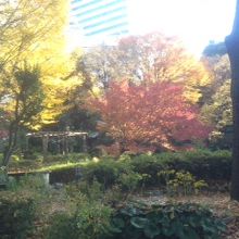 公園内部の様子2