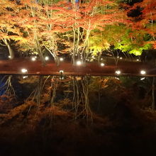 カウントダウン後　幻想的な「逆さもみじ」