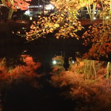 他の池にも「逆さもみじ」