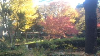 ここを訪れて、初めてここがその現場の近くである事を知った。