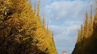 朝から人出が多い