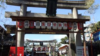 トントン、お参りに来ましたよ