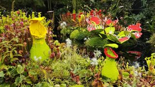 マイナスイオンを全身で浴びている感じ