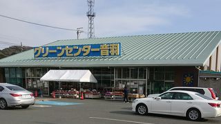 今年も柑橘類を買いに！