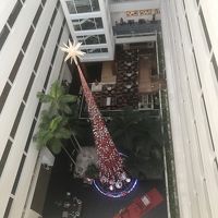 背の高いクリスマスツリーがロビーに