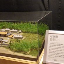展示模型