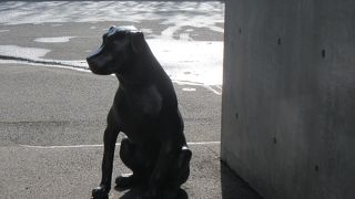 広くゆったりとした専用店舗