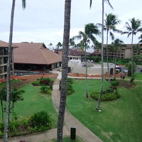 遠くに海も見えました