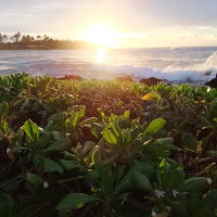 ホテル前からの朝日