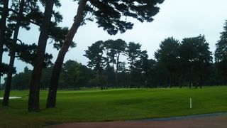 食事もおいしかった