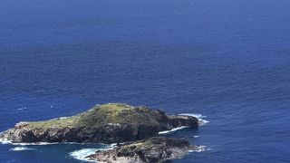 バードマンを決める儀式をしたところ