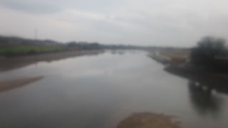 支流、繁根木川の魅力