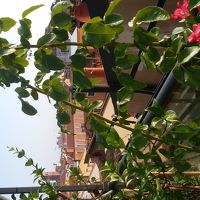 屋上のテラスから