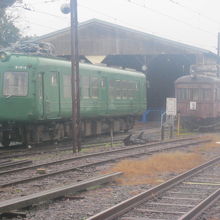 やっぱり、何といってもこの子ですね！