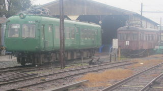 やっぱりここは”青ガエル”の聖地ですね！