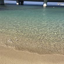 海は澄んでいます