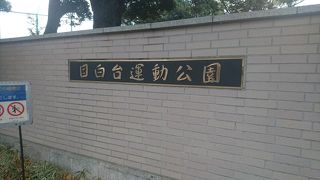 芝生広場は家族にオススメ