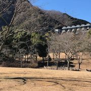 三保ダムの下に広がる公園