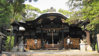 うさぎ尽くしの神社