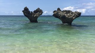 ちゅらうみ水族館へ行くついでに！