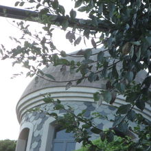 うろこそのものです