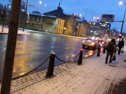 B&B レックス 写真