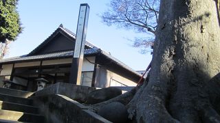 超プチ登山気分