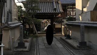 参道がとても雰囲気が良く素敵