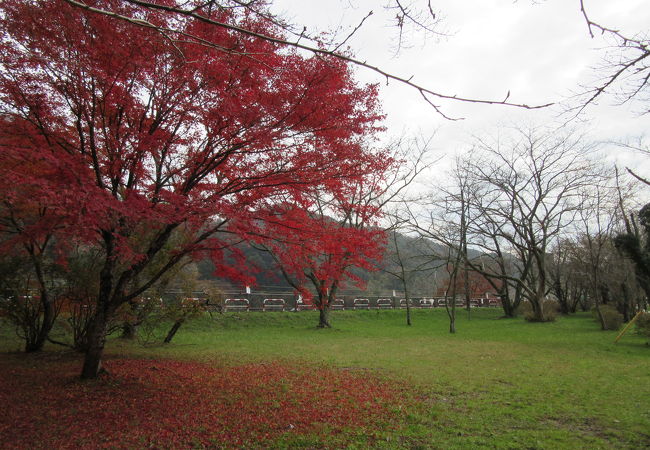 三島湖