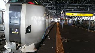 雪の大平原を走る