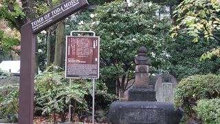 まったく知りませんでした