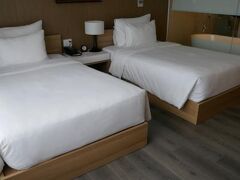 Zen Diamond Suites Hotel Da Nang 写真