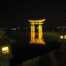 ライトアップされた大鳥居