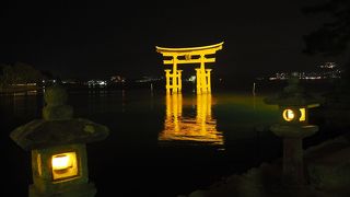 ライトアップされた姿は神々しい