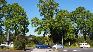 赤坂から皇居まで歩く