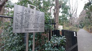 うっそうとした雑木林